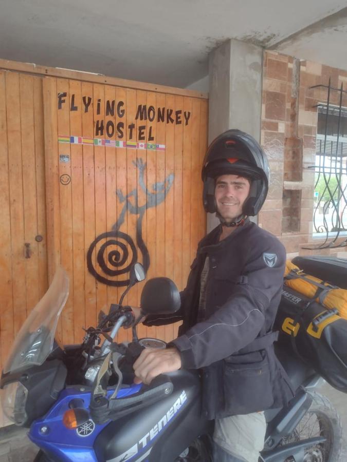 Flying Monkey Hostel Νάζκα Εξωτερικό φωτογραφία