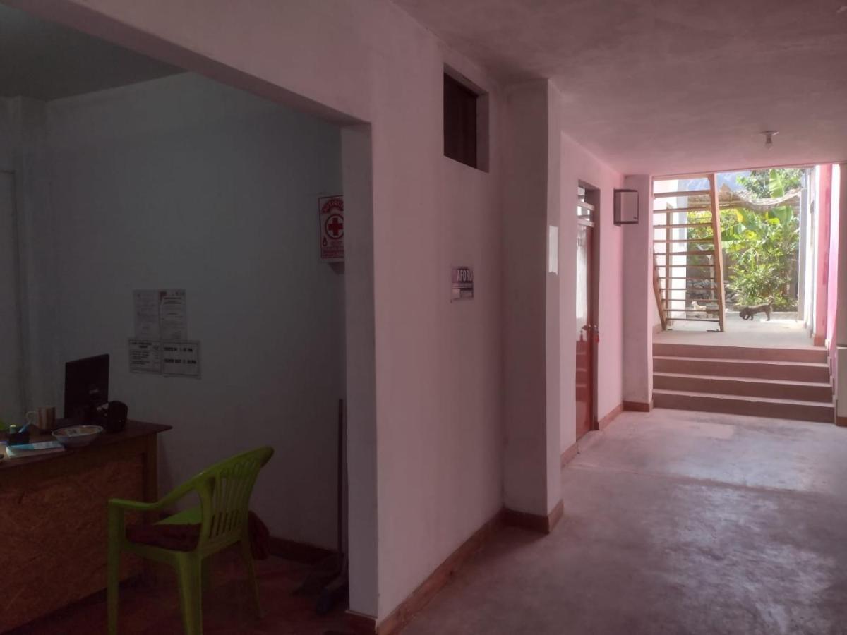 Flying Monkey Hostel Νάζκα Εξωτερικό φωτογραφία