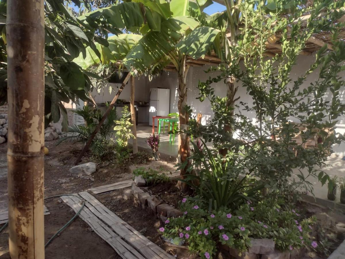 Flying Monkey Hostel Νάζκα Εξωτερικό φωτογραφία