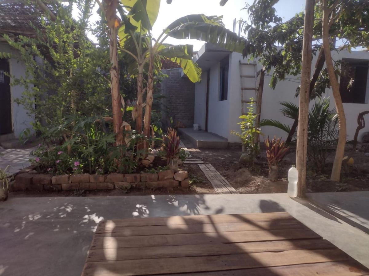 Flying Monkey Hostel Νάζκα Εξωτερικό φωτογραφία